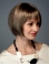 Monofilament Straight Synthetic Convenient Medium Wigs